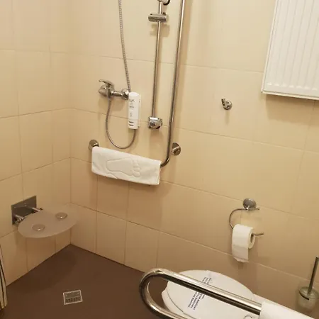 Hotel Feniks Hotel Poznaň