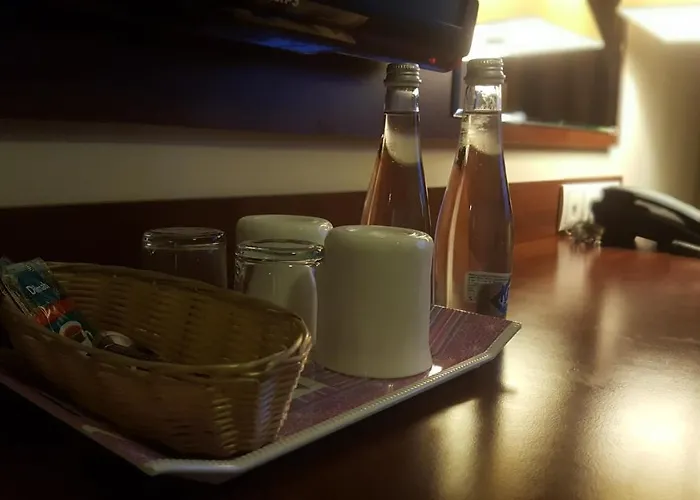 Hotel Feniks 3* Poznan